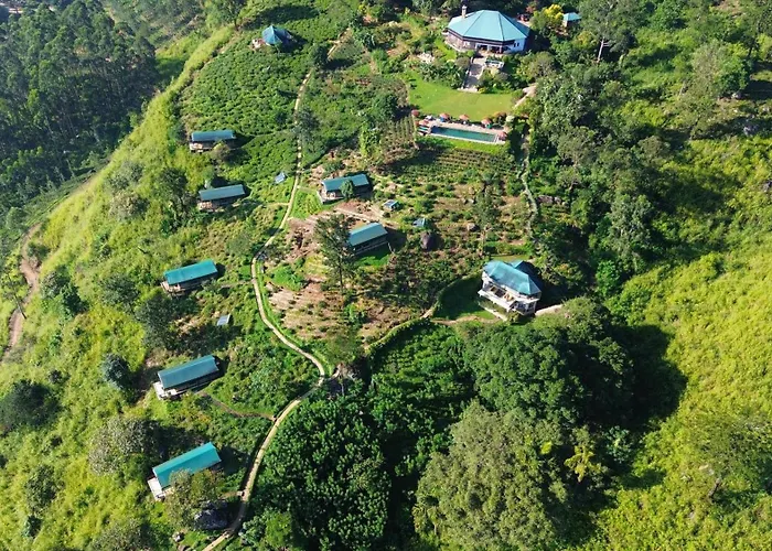 Madulkelle Tea And Eco Lodge